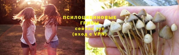 первитин Осинники