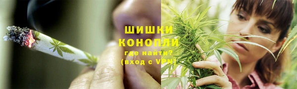МДПВ Весьегонск