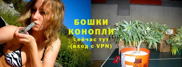 первитин Осинники