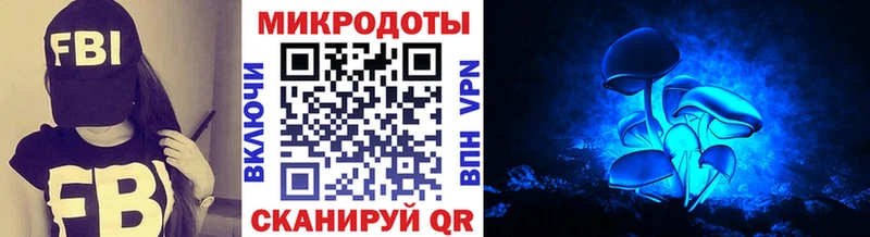 Псилоцибиновые грибы мухоморы  закладки  Лукоянов 